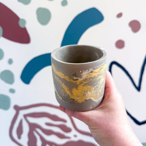The Yellow - Footed Tortoise Jesmonite Mini Pot [Beneath the Canopy RHS Collab] - Sprouts of Bristol