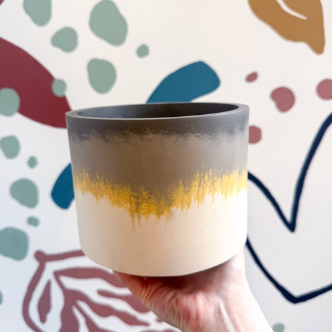 The Yellow - Footed Tortoise Jesmonite Pot [Beneath the Canopy RHS Collab] - Sprouts of Bristol