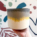 The Yellow - Footed Tortoise Jesmonite Pot [Beneath the Canopy RHS Collab] - Sprouts of Bristol