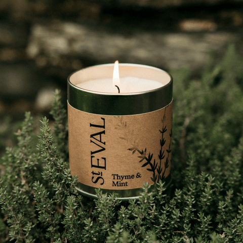 Thyme & Mint Scented Tin Candle - Sprouts of Bristol