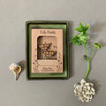 Tortoiseshell Butterfly Plant Pot Companions - Sprouts of Bristol