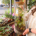 Tower Vase - Bioactive Terrarium - Sprouts of Bristol