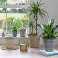 Vallo Reactive Glaze Tapered Planter in Cream - Sprouts of Bristol