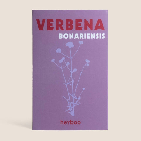 Verbena Bonariensis Seeds - Sprouts of Bristol