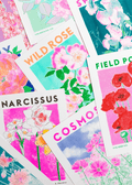 Wild Rose Flower Risograph Print - Sprouts of Bristol