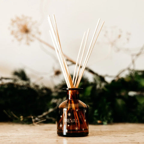 Winter Thyme Christmas Mini Diffuser - Sprouts of Bristol