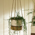 Woven Hanging Plant Pot – Cream & Brown Multi Stripe - Sprouts of Bristol