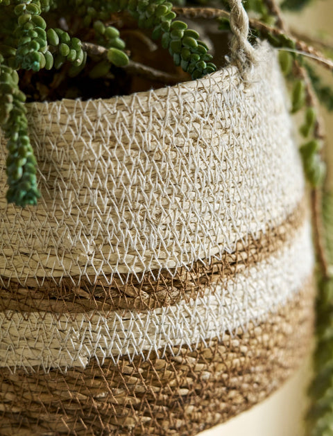 Woven Hanging Plant Pot – Cream Striped - Sprouts of Bristol
