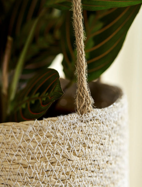 Woven Hanging Plant Pot – Half Stripe in Antique Brown - Sprouts of Bristol