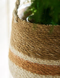 Woven Hanging Plant Pot – Orange & Cream Stripe - Sprouts of Bristol