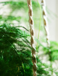 Woven Hanging Plant Pot – Orange & Cream Stripe - Sprouts of Bristol