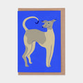 Young Dog on Blue Greetings Card - Sprouts of Bristol
