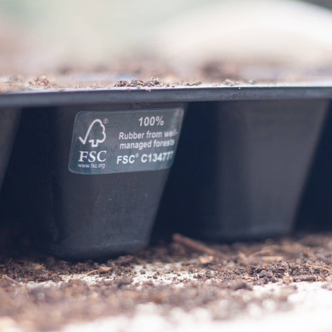 20 Cell Natural Rubber Seed Tray - Sprouts of Bristol