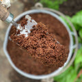 3 L Peat-free Coir Compost - Sprouts of Bristol
