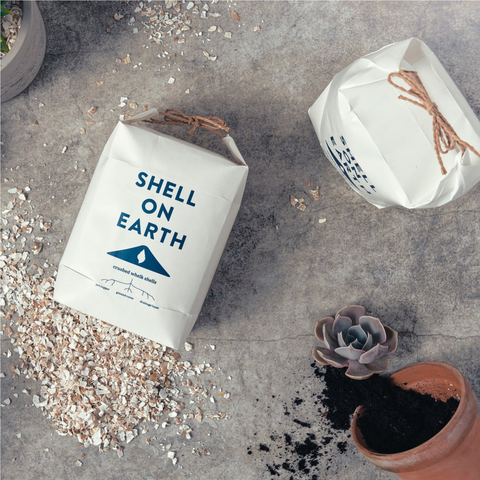 Shell on Earth - Crushed Whelk Shells