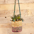 Artisan Cylindrical Hanging Plant Basket: Small - Sprouts of Bristol