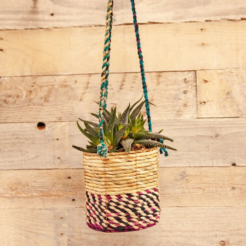 Artisan Cylindrical Hanging Plant Basket: Small - Sprouts of Bristol