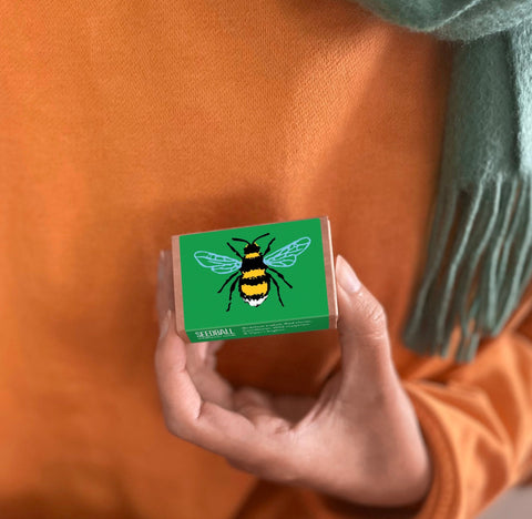 Bee Wildflower Seedball Box - Sprouts of Bristol
