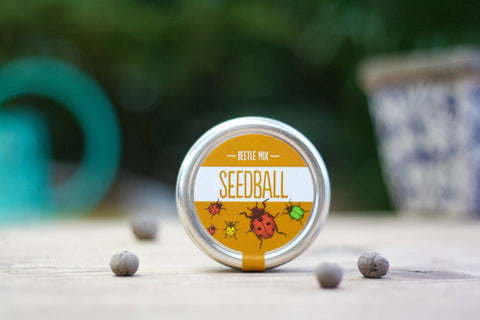 Beetle Mix Seedball Tin - Sprouts of Bristol