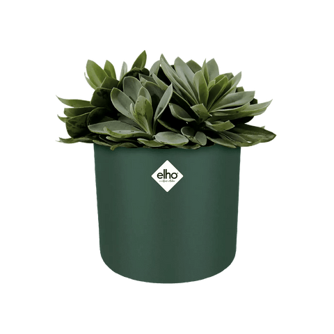 B.For Soft Round Pot - Sprouts of Bristol
