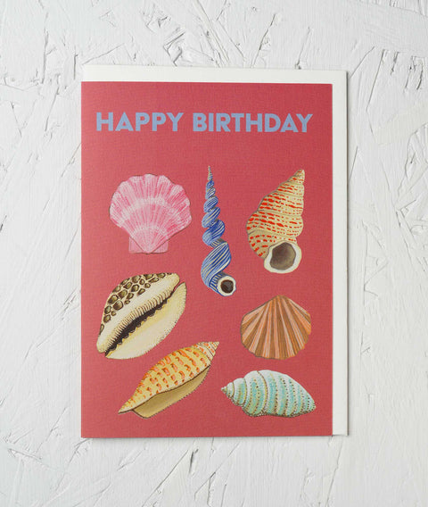 Birthday Shells Greetings Card - Sprouts of Bristol