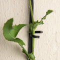 Black Support for Climbing Plants - Sprouts of Bristol