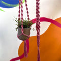 Blossom Pink Macrame Plant Hanger - Sprouts of Bristol