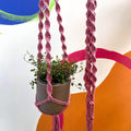 Blossom Pink Macrame Plant Hanger - Sprouts of Bristol
