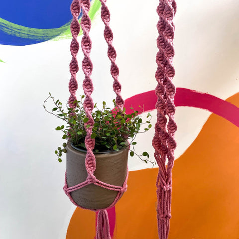 Blossom Pink Macrame Plant Hanger - Sprouts of Bristol