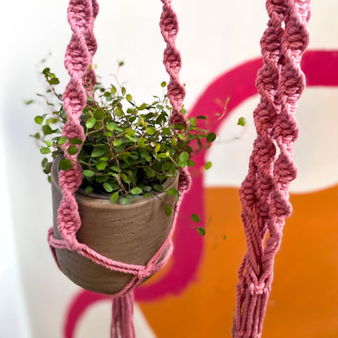 Blossom Pink Macrame Plant Hanger - Sprouts of Bristol