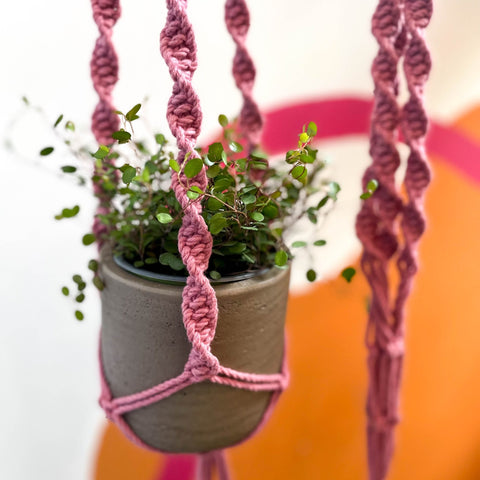 Blossom Pink Macrame Plant Hanger - Sprouts of Bristol