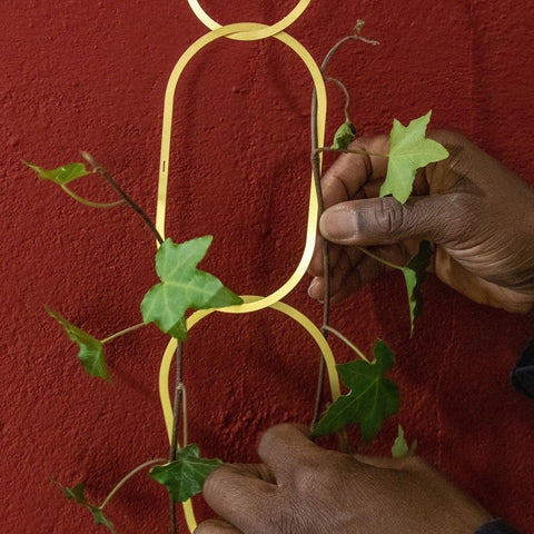 Brass Support for Climbing Plants - Sprouts of Bristol