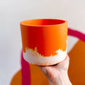 Bright Orange and White Jesmonite Pot - Sprouts of Bristol