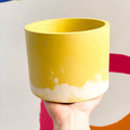 Bright Yellow and White Jesmonite Pot - Sprouts of Bristol