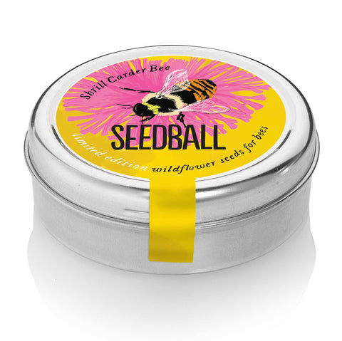Bumblebee Seedball Wildflower Tins: Green - Sprouts of Bristol