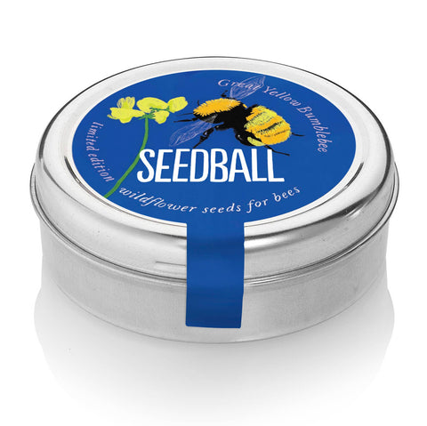 Bumblebee Seedball Wildflower Tins: Green - Sprouts of Bristol
