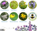 Bumblebee Seedball Wildflower Tins: Yellow - Sprouts of Bristol