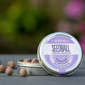 Butterfly Mix Seedball - Sprouts of Bristol