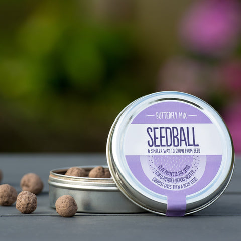 Butterfly Mix Seedball - Sprouts of Bristol