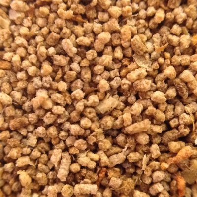Charge - Soil Conditioner and Biostimulant - Sprouts of Bristol
