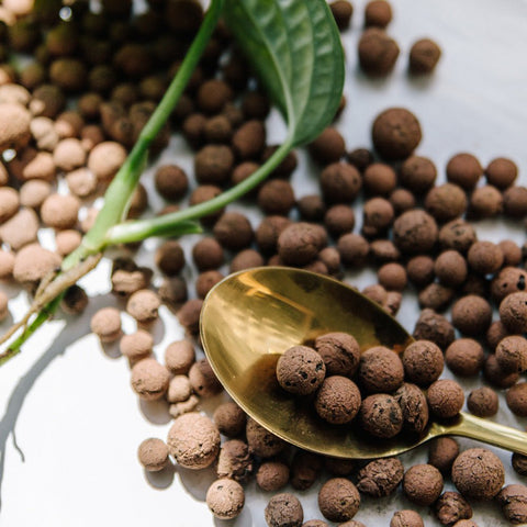 Clay Pebbles - Soil Component - Sprouts of Bristol