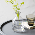 Clearwell Glass Bottle Vase - Sprouts of Bristol
