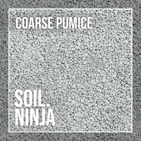Coarse Pumice - Soil Component - Sprouts of Bristol