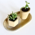 Concrete Mini Vessel Number 2 - Sprouts of Bristol