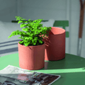 Edgehill Pot - Sprouts of Bristol