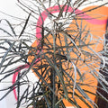 False Aralia - Dizygotheca elegantissima - Sprouts of Bristol