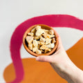 Giallo Siena Stones 12-16mm / 200g - Terrarium Supplies - Sprouts of Bristol