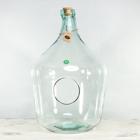 Glass Demi-John Open Terrarium - Sprouts of Bristol