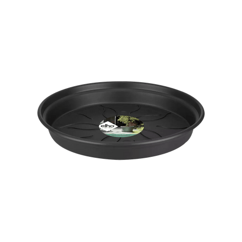 Green Basics Nursery Saucer - Sprouts of Bristol