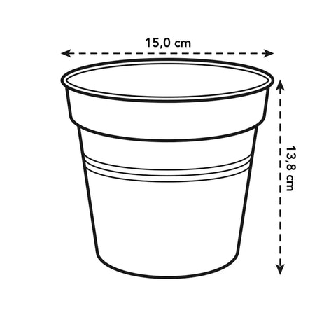 Green Basics Orchid Nursery Pot - Transparent - Sprouts of Bristol